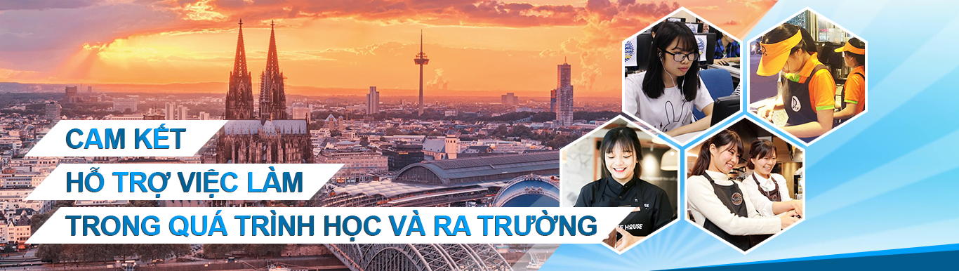 Trường cao đẳng Bách Khoa Việt Nam