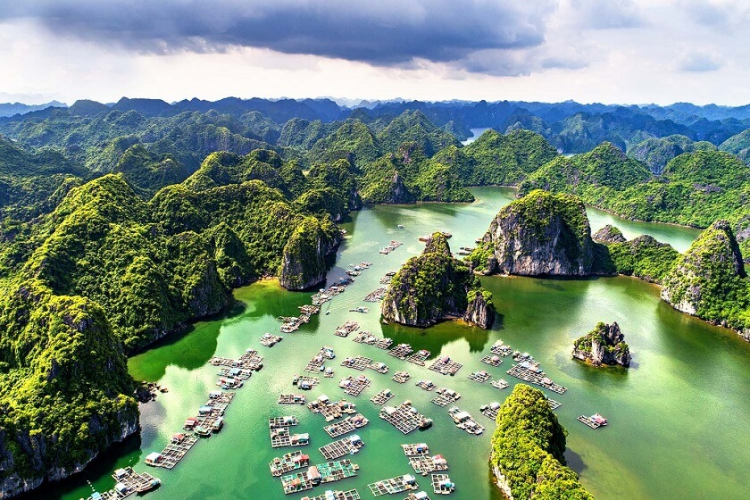 Vịnh Hạ Long