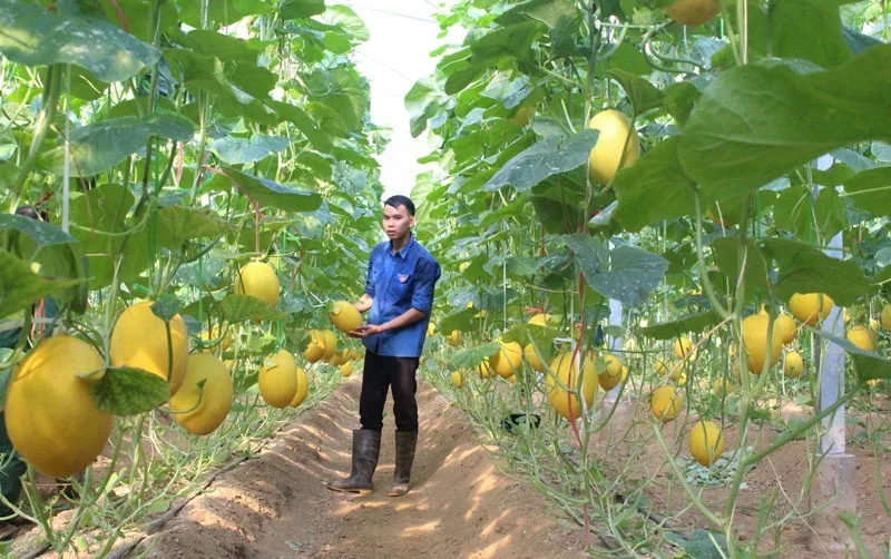 Chứng nhận HACCP – Phân tích mối nguy & Kiểm soát tới hạn Thực phẩm