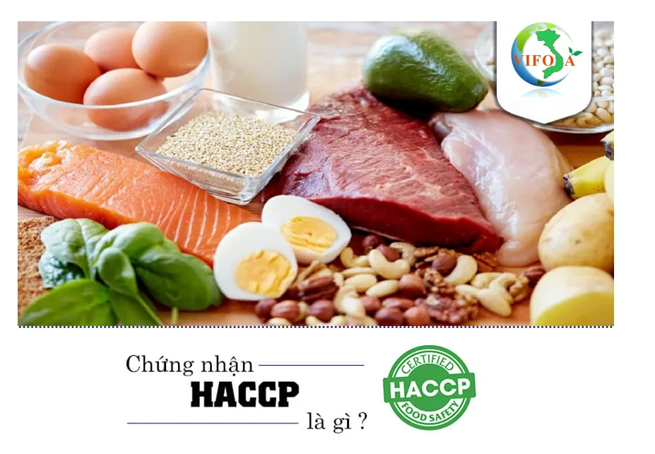 Chứng nhận HACCP – Phân tích mối nguy & Kiểm soát tới hạn Thực phẩm