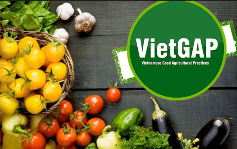 Chứng nhận VietGAP