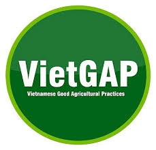 Hệ thống VietGAP