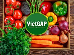 Hệ thống VietGAP