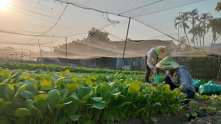Chứng nhận HACCP – Phân tích mối nguy & Kiểm soát tới hạn Thực phẩm